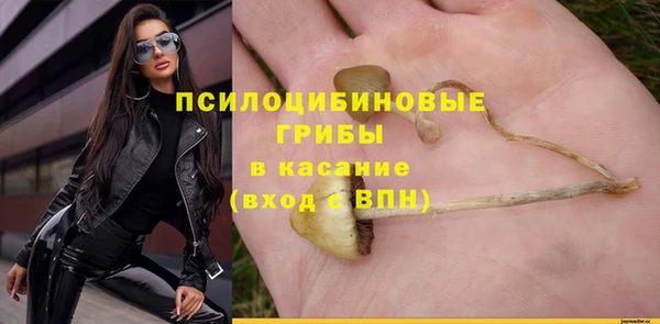 ECSTASY Лагань