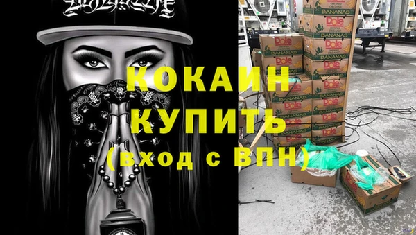 ECSTASY Лагань