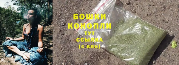 ECSTASY Лагань