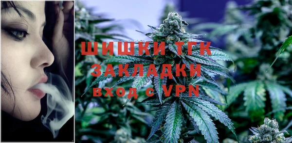 ECSTASY Лагань