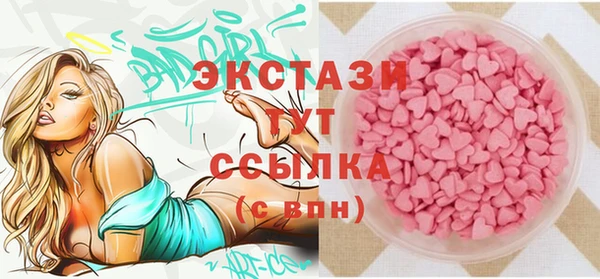 ECSTASY Лагань