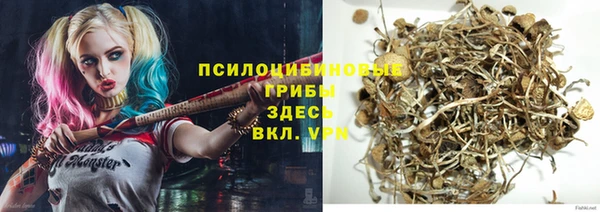 ECSTASY Лагань