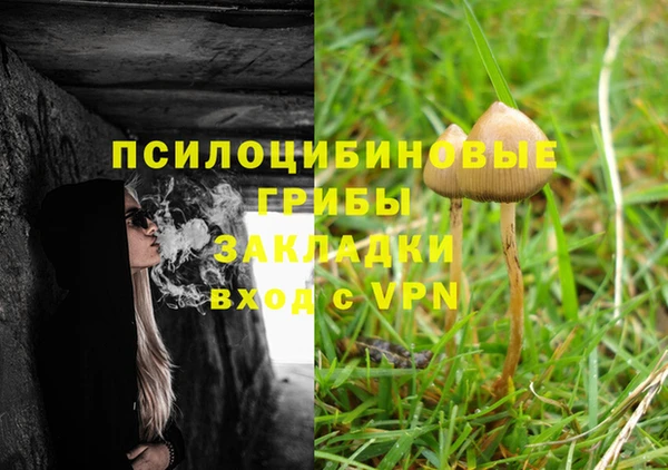 ECSTASY Лагань